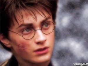  Pictures of actors of hp