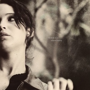  Katniss Everdeen ☆