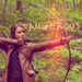 The Hunger Games - katniss-everdeen icon