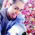 Mileyyyyyy - miley-cyrus photo
