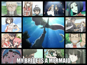  My Bride Is A Mermaid