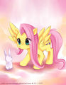 Fluttershy With a Bunny - my-little-pony-friendship-is-magic photo