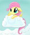 Fluttershy Hiding Behind a Cloud - my-little-pony-friendship-is-magic photo