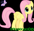Fluttershy Glancing - my-little-pony-friendship-is-magic photo