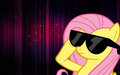 Fluttershy with Shades - my-little-pony-friendship-is-magic photo
