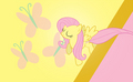 Fluttershy Smiling - my-little-pony-friendship-is-magic photo