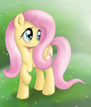 Fluttershy Blushing - my-little-pony-friendship-is-magic photo