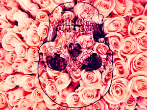 skull/flowers