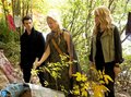 The Originals - Episode 1.09 - Reigning Pain in New Orleans - First Promotional Photo  - the-originals photo