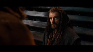 Thorin Oakenshield - The Hobbit: The Desolation of Smaug