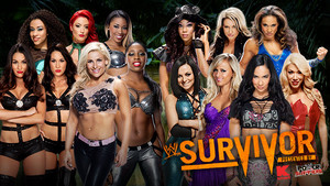 WWE Divas vs Total Divas