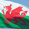 Welsh Icons