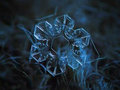 Snowflakes - winter photo