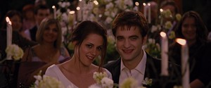  Edward and Bella's wedding