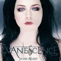 Evanescence - Sound Asleep - amy-lee fan art