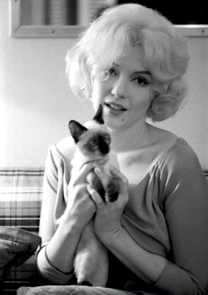  Marilyn Monroe With Her Pet Siamese Cat