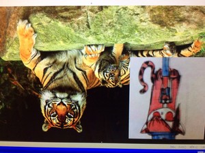 Nagi with tiger background