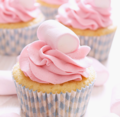 pink cupcakes - cupcakes photo
