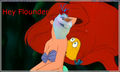 Hey Flounder - disney-princess photo