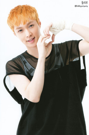 Lay (POP UP STORE PHOTOCARDS)