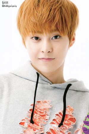  Xiumin (POP UP STORE PHOTOCARDS)