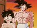 Gohan & Goku - anime photo