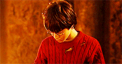  Harry Potter ϟ