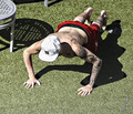 Justin bieber push-ups  - justin-bieber photo