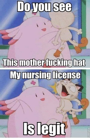  Legit nursing license.