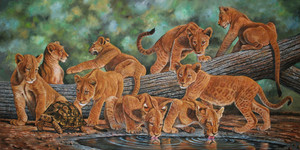  Lion cub painting