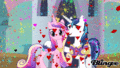 Blingee Princess Cadence and Shining Armor - my-little-pony-friendship-is-magic photo