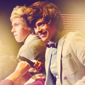  Niall and Harry♥