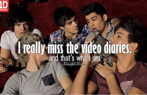  Video Diaries