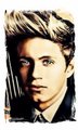 Niall Horan - one-direction photo