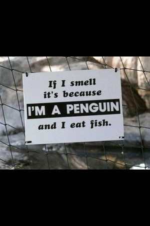 I'm a penguin