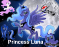 Princess Luna and the Moon - princess-luna photo