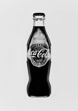  Coca-cola bottle 鮫, サメ