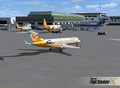 Flight Simulator X - random photo