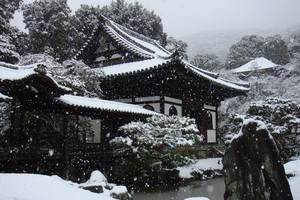  Kyoto Winter Snow