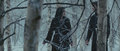 Snow White and the Huntsman Caps - snow-white-and-the-huntsman photo