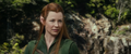 'This is Our Fight' Clip Screencaps - the-hobbit photo