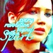 Katniss Everdeen/Catching Fire - the-hunger-games icon