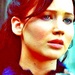 Catching Fire - the-hunger-games icon