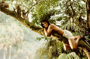  Mowgli (Jason Scott Lee)