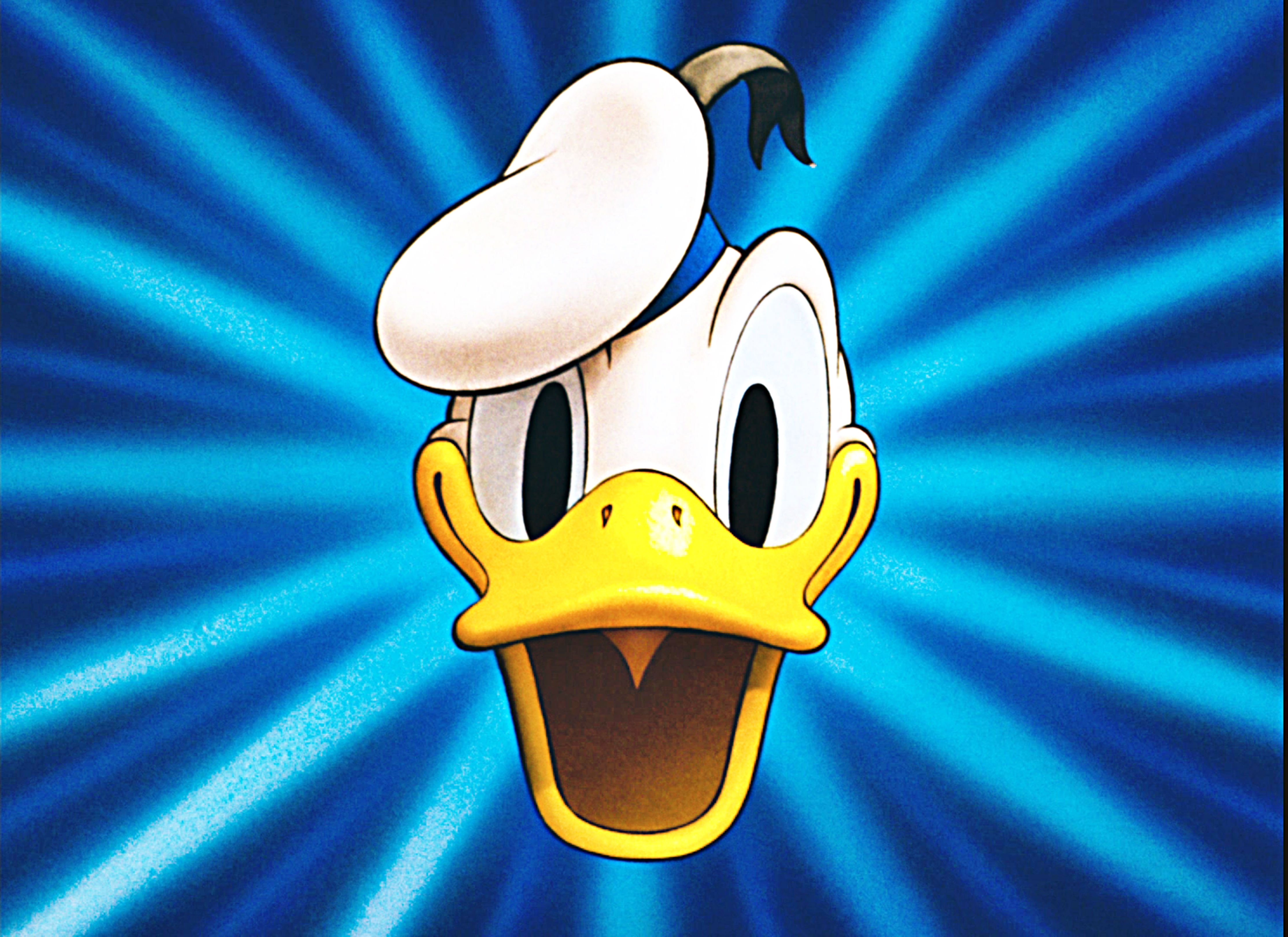 Walt Disney Characters images Walt Disney Screencaps  Donald Duck HD 