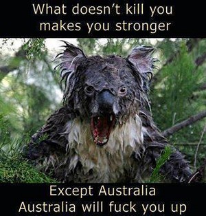 Australia Scary