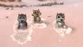 Runt, Stinky, and Claudette in the snow - alpha-and-omega photo