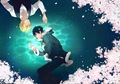 anime - Shizaya             wallpaper