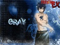 Gray Fiary Tail - anime photo