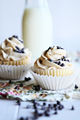 White Cupcakes - cupcakes photo